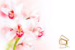 Натяжной потолок с фотопечатью Цветы 015