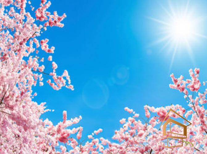 Натяжной потолок с фотопечатью Небо и объекты 063 - -