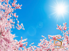 Натяжной потолок с фотопечатью Небо и объекты 063