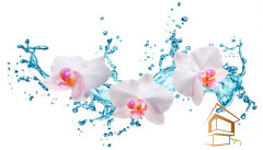 Натяжной потолок с фотопечатью Цветы 016