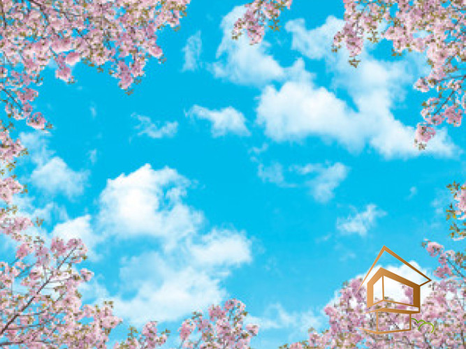 Натяжной потолок с фотопечатью Небо и объекты 064 - -