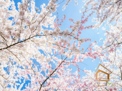 Натяжной потолок с фотопечатью Небо и объекты 065