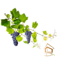 Натяжной потолок с фотопечатью Кухня 008