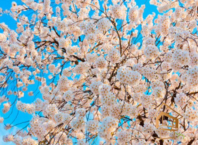 Натяжной потолок с фотопечатью Небо и объекты 066 - -