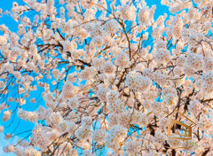 Натяжной потолок с фотопечатью Небо и объекты 066