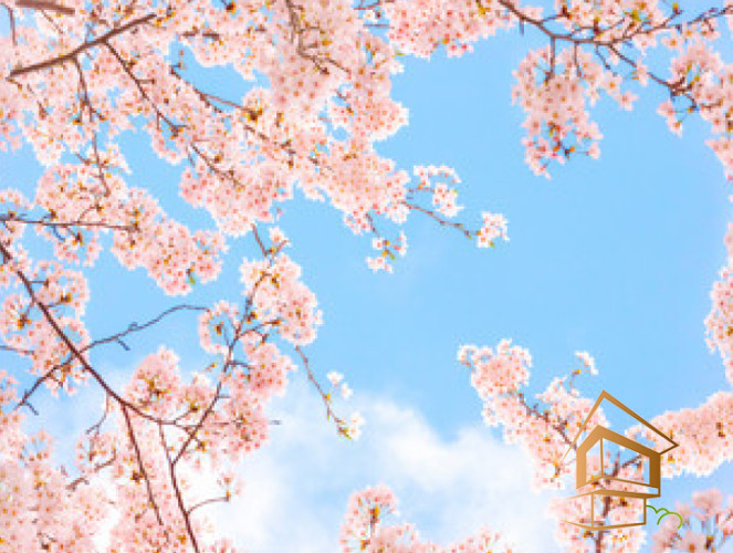 Натяжной потолок с фотопечатью Небо и объекты 067 - -