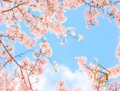 Натяжной потолок с фотопечатью Небо и объекты 067