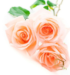 Натяжной потолок с фотопечатью Цветы 237