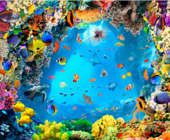 Натяжной потолок с фотопечатью Подводный мир 026