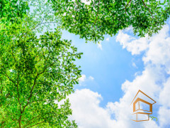 Натяжной потолок с фотопечатью Небо и объекты 068