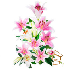 Натяжной потолок с фотопечатью Цветы 138