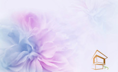 Натяжной потолок с фотопечатью Цветы 238