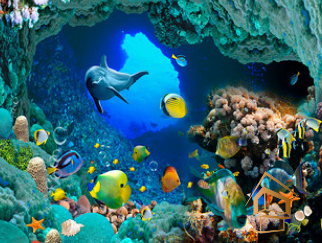 Натяжной потолок с фотопечатью Подводный мир 028 -  - 