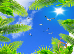 Натяжной потолок с фотопечатью Небо и объекты 070