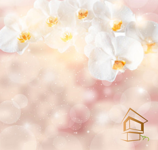 Натяжной потолок с фотопечатью Цветы 240 -  - 