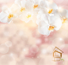 Натяжной потолок с фотопечатью Цветы 240