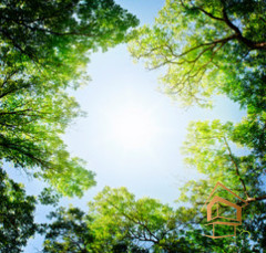 Натяжной потолок с фотопечатью Небо и объекты 071