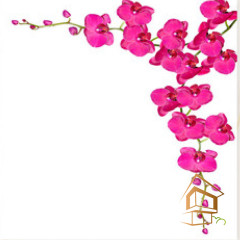 Натяжной потолок с фотопечатью Цветы 041