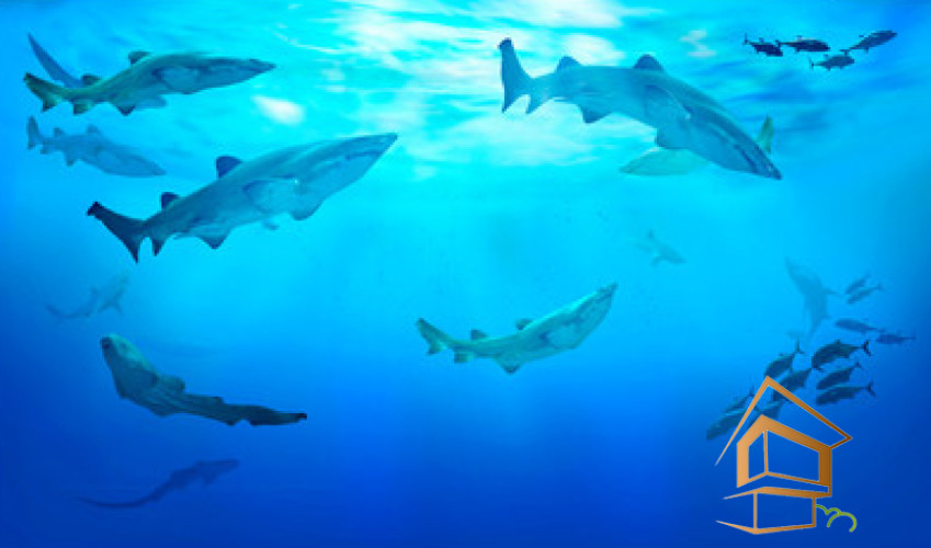 Натяжной потолок с фотопечатью Подводный мир 030 -  - 