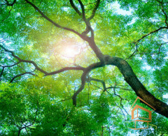 Натяжной потолок с фотопечатью Небо и объекты 072