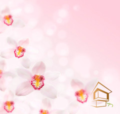 Натяжной потолок с фотопечатью Цветы 242