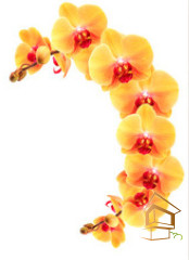 Натяжной потолок с фотопечатью Цветы 025