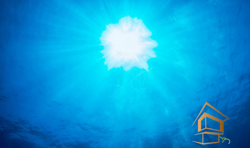 Натяжной потолок с фотопечатью Подводный мир 031 -  - 