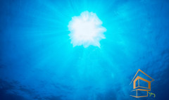 Натяжной потолок с фотопечатью Подводный мир 031