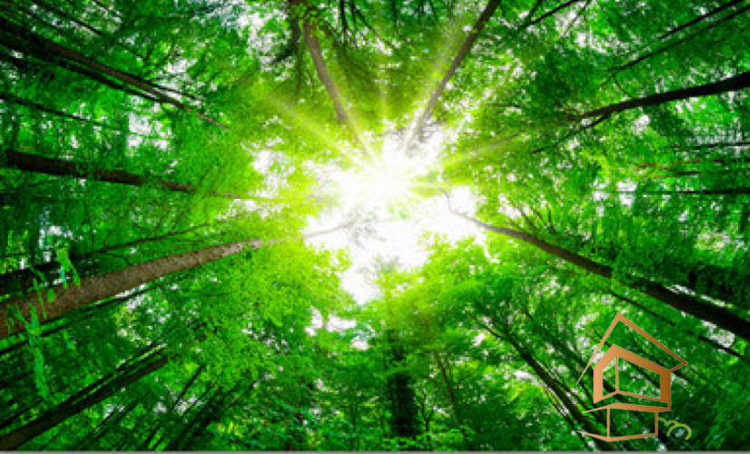 Натяжной потолок с фотопечатью Небо и объекты 073 - -