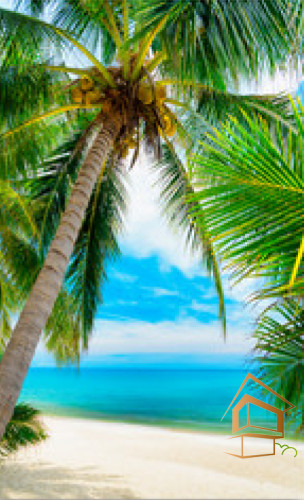 Натяжной потолок с фотопечатью Стены 014 - -