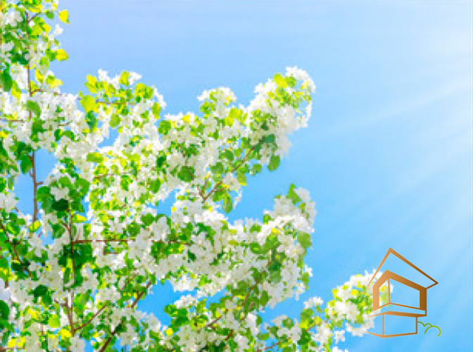 Натяжной потолок с фотопечатью Небо и объекты 074 - -