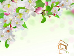 Натяжной потолок с фотопечатью Цветы 144