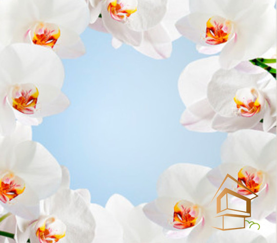 Натяжной потолок с фотопечатью Цветы 244 -  -