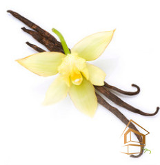 Натяжной потолок с фотопечатью Кухня 017