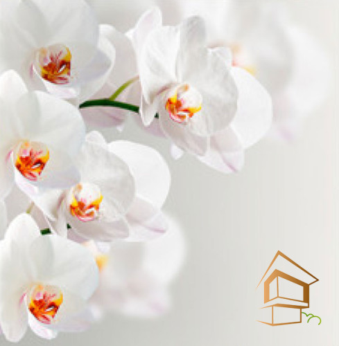 Натяжной потолок с фотопечатью Цветы 027 - -