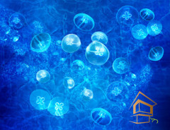 Натяжной потолок с фотопечатью Подводный мир 033