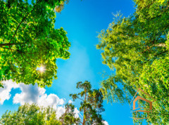 Натяжной потолок с фотопечатью Небо и объекты 075