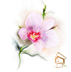 Натяжной потолок с фотопечатью Цветы 045