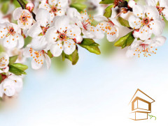 Натяжной потолок с фотопечатью Цветы 145