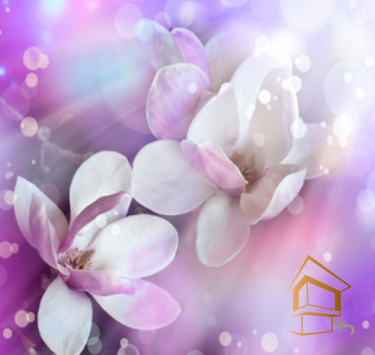 Натяжной потолок с фотопечатью Цветы 245 -  -