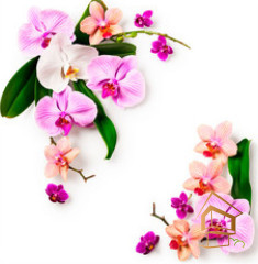 Натяжной потолок с фотопечатью Цветы 028