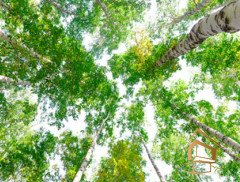 Натяжной потолок с фотопечатью Небо и объекты 076