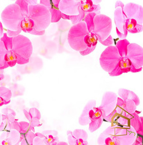 Натяжной потолок с фотопечатью Цветы 029 -  - 