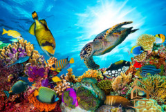 Натяжной потолок с фотопечатью Подводный мир 035