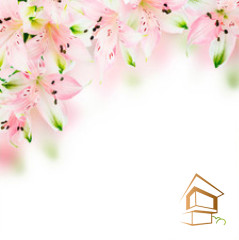 Натяжной потолок с фотопечатью Цветы 047