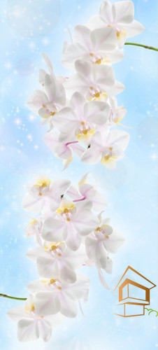 Натяжной потолок с фотопечатью Цветы 030 - -