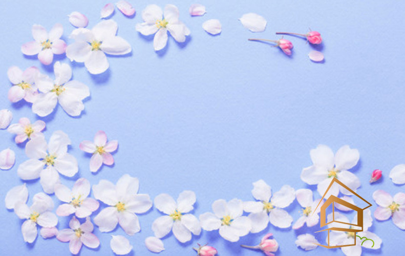 Натяжной потолок с фотопечатью Цветы 248 -  -