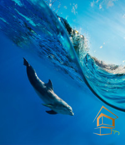 Натяжной потолок с фотопечатью Подводный мир 037 - -