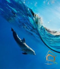 Натяжной потолок с фотопечатью Подводный мир 037