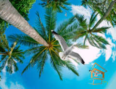 Натяжной потолок с фотопечатью Небо и объекты 079